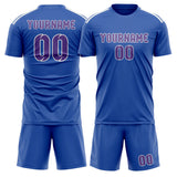 Custom Sky Blue Light Purple Soccer Set