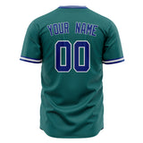 Custom Teal Baseball Jersey (With Royal Color)