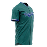 Custom Teal Baseball Jersey (With Royal Color)